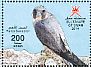 Sooty Falcon Falco concolor  2014 Wildlife in Oman  MS MS MS MS