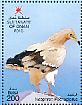 Egyptian Vulture Neophron percnopterus  2016 Fauna Sheet