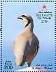 Chukar Partridge Alectoris chukar  2016 Fauna Sheet