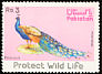 Indian Peafowl Pavo cristatus  1976 Wildlife protection 