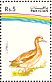 Gadwall Mareca strepera  1992 Water birds Strip