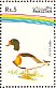 Common Shelduck Tadorna tadorna  1992 Water birds Strip, different background