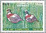 Chukar Partridge Alectoris chukar  2016 Child art competition 8v set