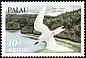 White Tern Gygis alba  1984 Birds 