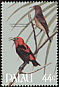 Micronesian Myzomela Myzomela rubratra  1986 Songbirds 