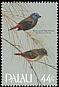 Blue-faced Parrotfinch Erythrura trichroa  1986 Songbirds 