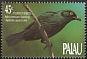 Micronesian Starling Aplonis opaca  1990 Birds 