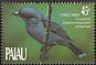 Palau Cicadabird Edolisoma monacha  1990 Birds 