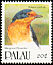 Palau Flycatcher Myiagra erythrops  1992 Birds 