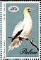Red-footed Booby Sula sula  1994 Sea birds 