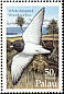 White-breasted Woodswallow Artamus leucorynchus  1995 Birds 