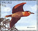Nankeen Night Heron Nycticorax caledonicus  1996 Birds over the Palau lagoon Sheet