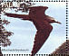 Brown Noddy Anous stolidus  1996 Birds over the Palau lagoon Sheet