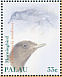 Morningbird Pachycephala tenebrosa  2000 Native birds of Palau Sheet