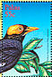 Yellow-faced Myna Mino dumontii  2001 Birds of Palau Sheet