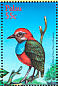 Philippine Pitta Erythropitta erythrogaster  2001 Birds of Palau Sheet