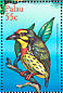 Coppersmith Barbet Psilopogon haemacephalus  2001 Birds of Palau Sheet