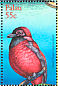Diard's Trogon Harpactes diardii  2001 Birds of Palau Sheet