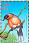 Spectacled Monarch Symposiachrus trivirgatus  2001 Birds of Palau Sheet