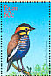 Malayan Banded Pitta Hydrornis irena  2001 Birds of Palau Sheet