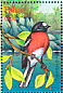 Pacific Robin Petroica pusilla  2001 Birds of Palau Sheet
