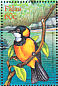 Australian Golden Whistler Pachycephala pectoralis  2001 Birds of Palau Sheet