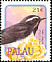 Willie Wagtail Rhipidura leucophrys  2002 Birds 