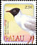 Black-headed Gull Chroicocephalus ridibundus  2002 Birds 