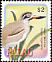 Great Stone-curlew Esacus recurvirostris  2002 Birds 
