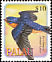 Barn Swallow Hirundo rustica  2002 Birds 
