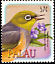 Silvereye Zosterops lateralis  2003 Birds 