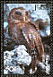 Palau Owl Otus podarginus  2007 Endemic birds Sheet