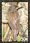 Morningbird Pachycephala tenebrosa  2007 Endemic birds Sheet