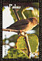 Dusky White-eye Zosterops finschii  2007 Endemic birds Sheet