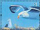 Great Black-backed Gull Larus marinus  2014 Gulls Sheet
