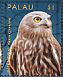 Barking Owl Ninox connivens  2014 Owls Sheet