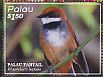 Palau Fantail Rhipidura lepida  2016 Rare birds of Palau Sheet