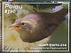 Giant White-eye Megazosterops palauensis  2016 Rare birds of Palau Sheet