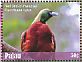 Red Bird-of-paradise Paradisaea rubra  2018 Colorful birds of the world Sheet
