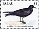 Bulwer's Petrel Bulweria bulwerii  2018 Seabirds Sheet