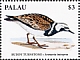 Ruddy Turnstone Arenaria interpres  2018 Seabirds Sheet