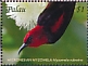 Micronesian Myzomela Myzomela rubratra  2018 Beautiful birds Sheet