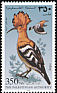 Eurasian Hoopoe Upupa epops  1997 Birds 