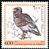 Bateleur Terathopius ecaudatus  1998 Birds of prey 