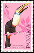 White-throated Toucan Ramphastos tucanus  1965 Birds 