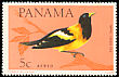 Venezuelan Troupial Icterus icterus