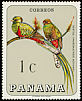 Resplendent Quetzal Pharomachrus mocinno  1967 Birds 