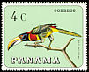 Red-necked Aracari Pteroglossus bitorquatus