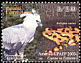 Harpy Eagle Harpia harpyja  2003 Upaep 