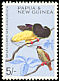 Twelve-wired Bird-of-paradise Seleucidis melanoleucus  1965 Definitives 